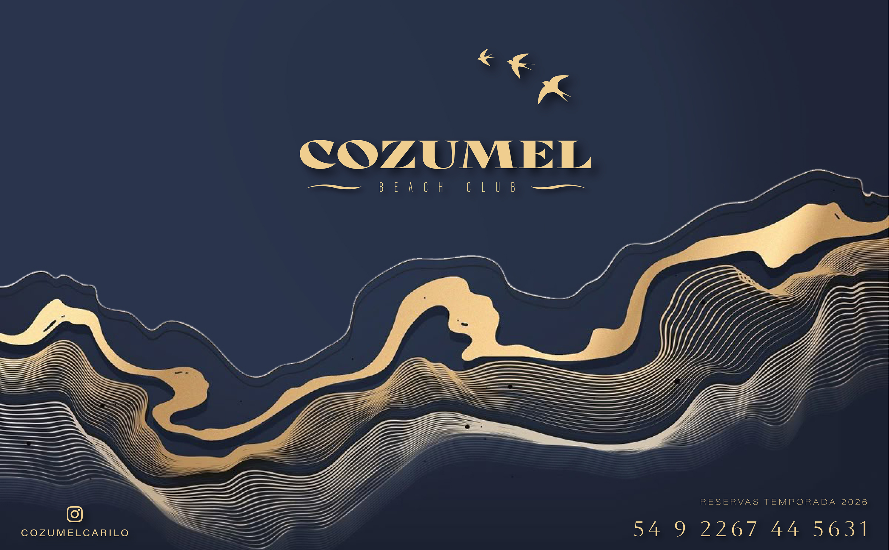 Cozumel Desktop